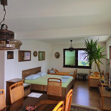 סראייבו Peaceful Vacation Villa & Garden מראה חיצוני תמונה